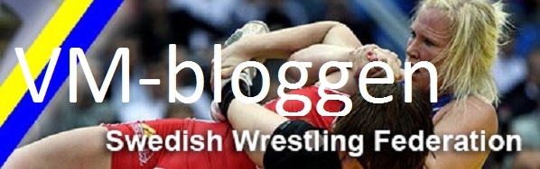 Svenska BF´s VM-blogg
