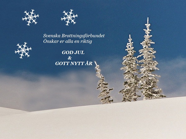 GOD JUL & GOTT NYTT ÅR