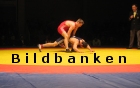 Bildbanken